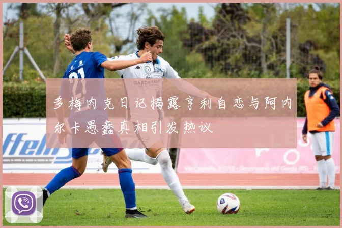 多梅内克日记揭露亨利自恋与阿内尔卡愚蠢真相引发热议